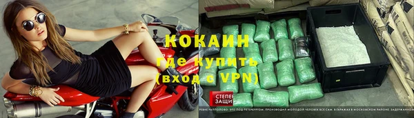 твердый Дмитриев