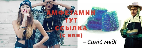 индика Дмитровск