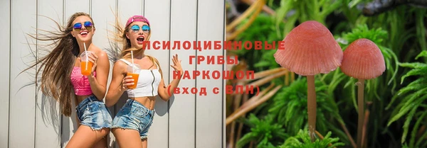 твердый Дмитриев