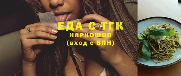 индика Дмитровск