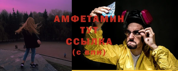 индика Дмитровск