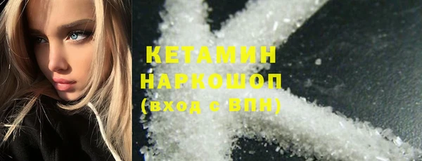индика Дмитровск