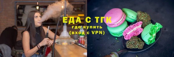 индика Дмитровск