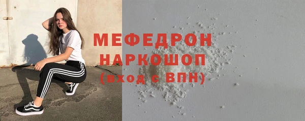 индика Дмитровск