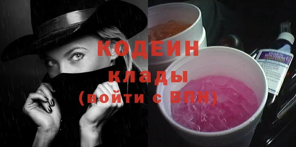 индика Дмитровск