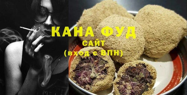 индика Дмитровск