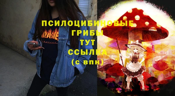 твердый Дмитриев