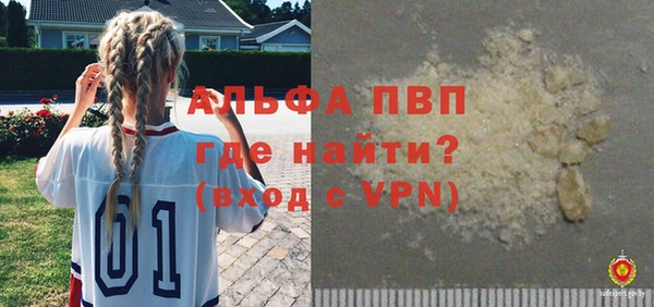 индика Дмитровск