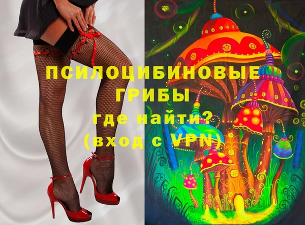 твердый Дмитриев