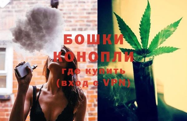 индика Дмитровск