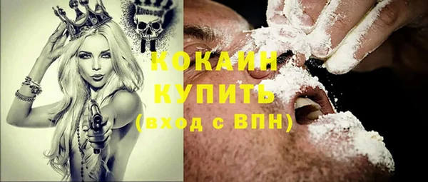 твердый Дмитриев