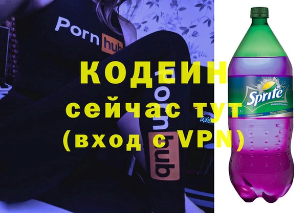 индика Дмитровск