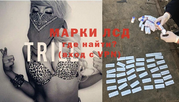 индика Дмитровск