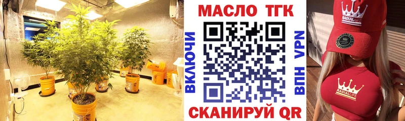 ТГК концентрат  Невинномысск 