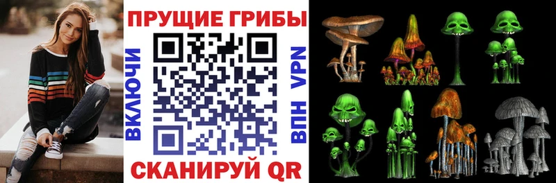 МЕГА сайт  Невинномысск  Галлюциногенные грибы ЛСД 